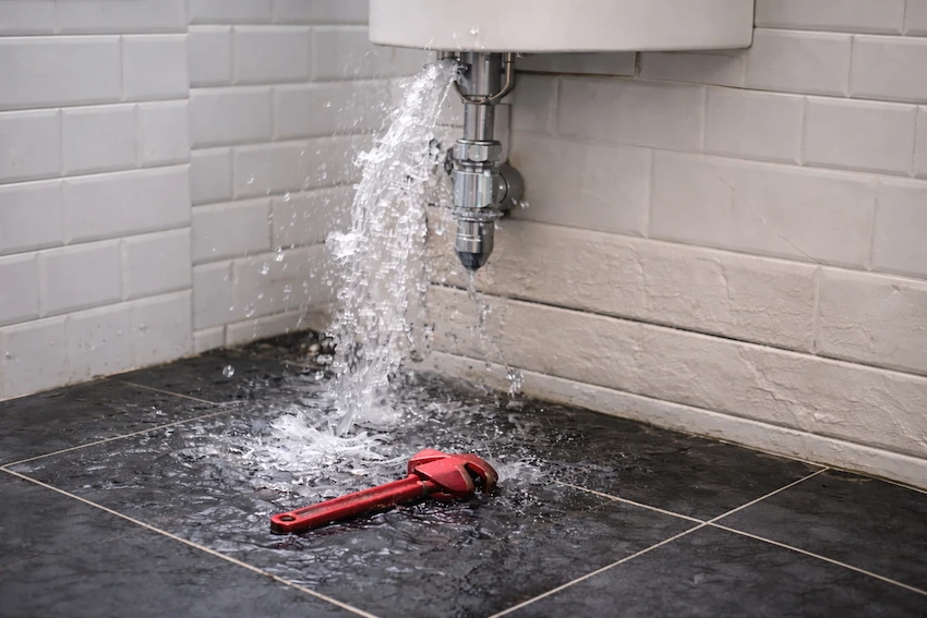 Why Watford Chooses Us